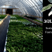 AQUAPONICS