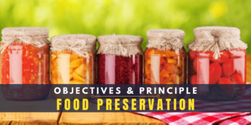 Food Preservation - Hospitality Connaisseur